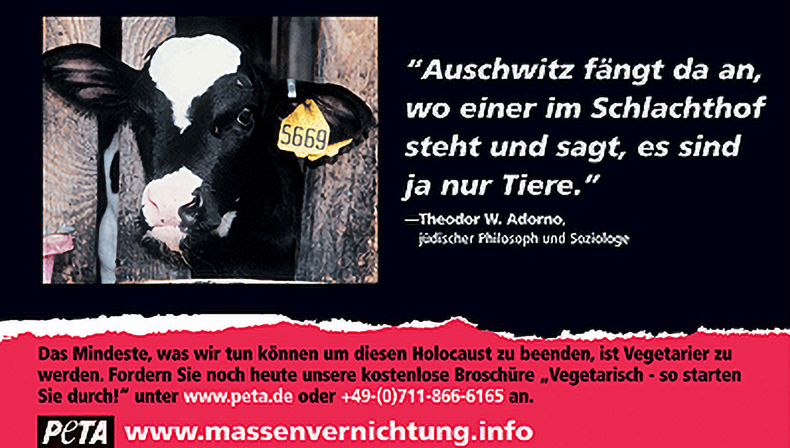 Ein Plakat mit einem Theodor W. Adorno zugeschriebenen Zitat.